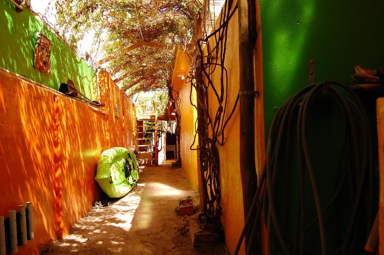 Leo'S Baja Oasis Hotel La Paz Exterior photo